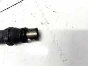 Einspritzdüse Volkswagen Transporter, T4 1990.07 - 1996.01 0681302020,