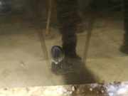 Waschwasserdüse Scheibenreinigung Mazda Premacy, 1999.01 - 2005.03 Gebraucht,