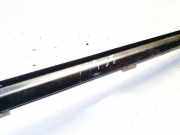 Zierleiste Leiste - Hinten Linke Lexus GS, III 2005.06 - 2007.06 Gebraucht,