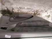 Türverkleidung - Hinten Linke Citroen Xsara Picasso, I 1999.12 - 2004.05 Gebraucht,
