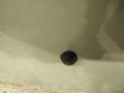 Waschwasserd?se Scheibenreinigung Renault Megane, I 1999.03 - 2002.10 facelift Gebraucht,