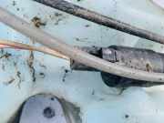 Waschwasserpumpe Scheibenreinigung Citroen Xsara Picasso, I 2004.05 - 2011.12 facelift Gebraucht,