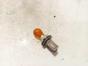 Glühbirnenfassung Blinker Renault Scenic, I 1999.09 - 2003.06 facelift Gebraucht,
