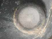 Nebelscheinwerfer - Vorne Linke Opel Movano A 1998 - 2010 Gebraucht,