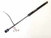 Gasfeder f?r Motorhaube Hyundai Santa Fe, 2006.03 - 2012.09 811602b010,81160-2b010