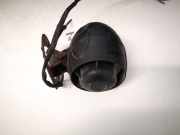 Alarmanlage Dacia Lodgy, I 2010.01 - 2022 Gebraucht,