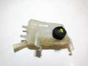 Ausgleichsbeh?lter Renault Scenic, III 2009.02 - 2013.06 217100005r,