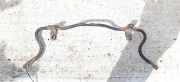 Stabilisator Vorne Renault Laguna, I 1994.01 - 2001.03 Gebraucht,