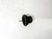 Glühbirnenfassung Blinker Volvo V50, 2004.04 - 2007.05 py21w,