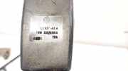 Gurtschloss - Hinten Rechts Seat Toledo, 1999.04 - 2006.05 1C0857488A, 33028201A