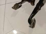 Bremspedal Citroen Xsara Picasso, I 1999.12 - 2004.05 Gebraucht ,