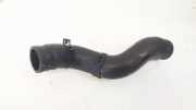 K?hlerschlauch Nissan Murano, Z50 2003.08 - 2008.06 Gebraucht,