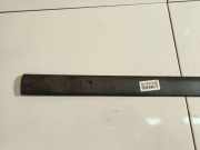 Zierleiste Tür Zier-Schutzleiste - Vorne Rechts Skoda Roomster, I 2006.01 - 2010.05 Gebraucht,