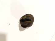 Tankverschluss Fiat Ducato, 2006.07 - 2014 C449,