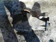 Differential Hinterachsgetriebe Audi A8, D3 2002.09 - 2005.6 01r525053k,