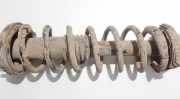 Fahrwerksfeder Hinterachse Rover 600, 1993.08 - 1999.02 Gebraucht,