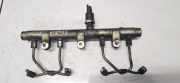 Kraftstoffverteiler Peugeot 406, 1999.03 - 2004.05 facelift 0445214019,