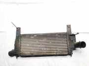 Ladeluftkühler Nissan Navara, II D40 2005.07 - 2010.02 14461eb360,14461-eb360 f6864