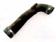Intercooler Schlauch Skoda Octavia, II 2004.02 - 2009.03 1K0145858,1K0145858N