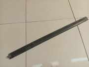 Zierleiste Tür Zier-Schutzleiste - Vorne Rechts Audi A2, 2000.02 - 2005.08 8Z0853986, 8Z0.853.986