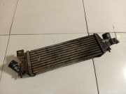 Ladeluftkühler Nissan Primera, P12 2002.01 - 2008.12 B9237000,B9237000 14461 AW300 14461AW300