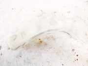 Ausgleichsbeh?lter Subaru Legacy, BM, BR 2009.09 - 2014.06 45153aj000,