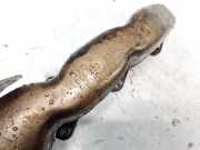 Abgaskr?mmer Volkswagen Phaeton, 2007 - 2011 facelift 059253033L, CEXA