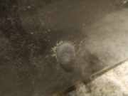 Waschwasserdüse Scheibenreinigung Citroen C5, I 2001.03 - 2008.02 Gebraucht,