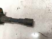 Zündspule Honda Insight, II 2009.01 - 2011.12 CM11118, CM11-118 10723