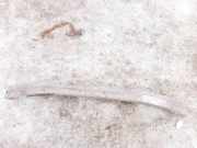 Stoßstangenträger vorne Nissan Primera, P12 2002.01 - 2008.12 Gebraucht,