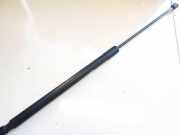 Gasdruckfeder Kofferraum Ford Kuga, I 2008.01 - 2012.06 8V41S406A10AF,8V41-S406A10-AF 8V41S406A10AF