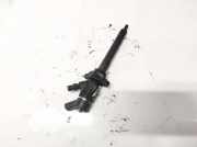 Einspritzdüse Ford Focus, 2004.11 - 2008.06 0445110239, 606680 78523 2066