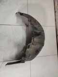 Radhausschale - Hinten Rechts Subaru Legacy, BL, BP 2003.09 - 2009.12 Gebraucht,