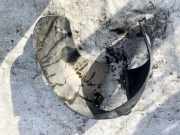 Radhausschale - Hinten Linke Kia Ceed, I 2006.12 - 2010.05 868251h100, 86825-1h100