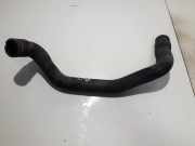 K?hlerschlauch Ford Focus, 2002.10 - 2005.01 facelift Gebraucht,