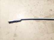 Dachreling Rechts Citroen C5, II 2008.02 - 2011.01 Gebraucht,