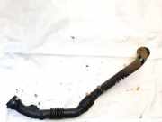 Intercooler Schlauch Renault Kangoo, 2008.02 - 2020 8200874705, 8200875380