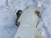 Scheibenwaschbehälter Vorne Wischwasserbehälter Peugeot 407, 2004.05 - 2010.12 Gebraucht,