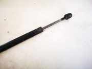 Gasdruckfeder Kofferraum Audi A4, B5 1994.11 - 1999.09 8d5827552c,