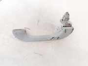 Haltegriff Haltegriff Verdeckgriff - Vorne Rechts Renault Laguna, II 2001.03 - 2006.05 8200000099,