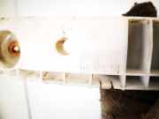 Stoßstangenhalter - Hinten Rechts Nissan Juke, I F15 2010.06 - 2019.06 Gebraucht,