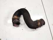 Kühlerschlauch Opel Vectra, C 2002.04 - 2005.10 Gebraucht ,