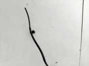 Airbag Sitz BMW 2-Series F22, 2013.01 - 2016.12 86731246605,15b345at2427 1505160x03