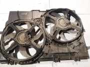Kühlerlüfter Lüftermotor Fiat Ducato, 2006.07 - 2014 Gebraucht,