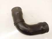 Intercooler Schlauch Renault Megane, I 1999.03 - 2002.10 facelift Gebraucht,