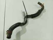 K?hlerschlauch Nissan Primera, P12 2002.01 - 2008.12 Gebraucht,