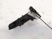 Lampenträger Heckleuchte - Hinten Volkswagen Golf, IV 1997.08 - 2003.10 38840751,