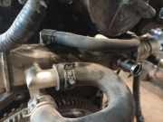 Abgaskühler AGR-Kühler Nissan X-Trail, 2001.06 - 2007.06 Gebraucht,