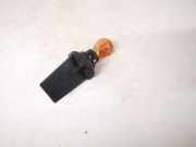 Gl?hbirnenfassung Blinker Renault Scenic, II 2003.06 - 2006.06 Gebraucht,