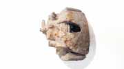 Bremssattel - Vorne Linke Opel Astra, H 2004.03 - 2009.12 Gebraucht,